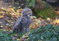 IMG_0086-11.jpg