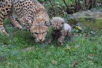 IMG_9018-11.jpg