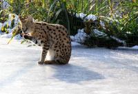 IMG_4165-11.jpg