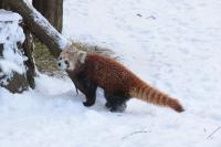 IMG_6038-11.jpg