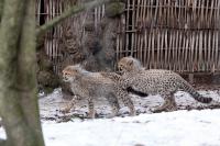 IMG_7696-11.jpg