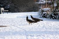 IMG_8321-11.jpg