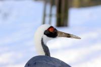IMG_8369-11.jpg