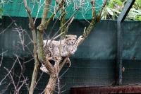 IMG_8977-11.jpg