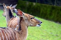 IMG_0969-11.jpg