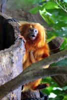 IMG_1118-11.jpg