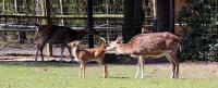 IMG_3749-11.jpg