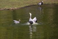 IMG_3815-11.jpg