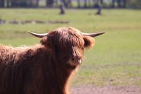IMG_4161-11.jpg