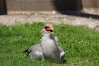 IMG_9288-11.jpg