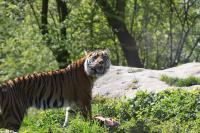 IMG_4378-11.jpg