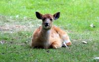 IMG_0718-11.jpg