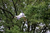 IMG_1405-11.jpg