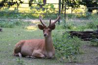 IMG_3217-11.jpg