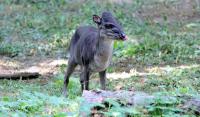 IMG_3637-11.jpg