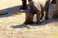 IMG_6066-11.jpg