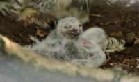 IMG_6115-11.jpg