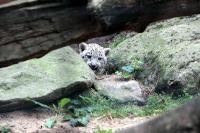 IMG_8096-11.jpg