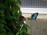 DSCF0275-11.jpg