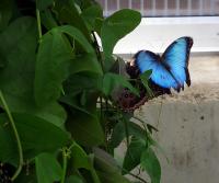 DSCF0290-11.jpg