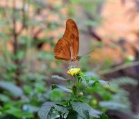 IMG_8415-11.jpg