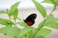 IMG_8422-11.jpg