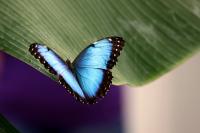 IMG_8428-11.jpg