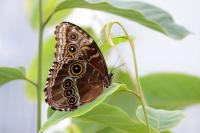 IMG_8479-11.jpg