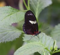 IMG_8492-11.jpg