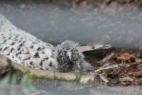 IMG_8538-11.jpg