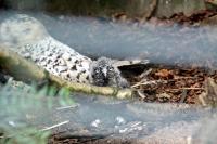 IMG_8545-11.jpg