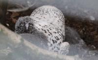 IMG_8584-11.jpg