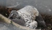 IMG_8594-11.jpg