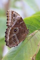 IMG_8665-11.jpg