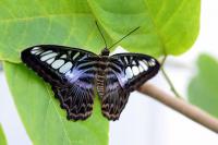IMG_8674-11.jpg