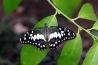 IMG_8676-11.jpg