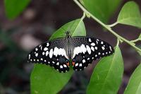 IMG_8678-11.jpg