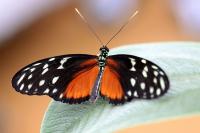 IMG_8681-11.jpg
