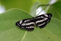 IMG_8683-11.jpg