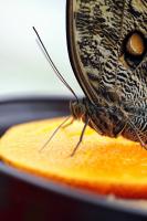 IMG_8705-11.jpg