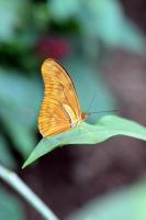 IMG_8724-11.jpg