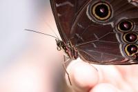 IMG_8728-11.jpg