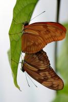 IMG_8743-11.jpg
