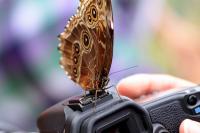 IMG_8748-11.jpg