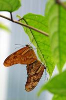 IMG_8764-11.jpg