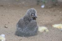 IMG_8838-11.jpg