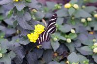IMG_9629-11.jpg