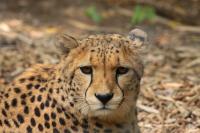 IMG_0022-11.jpg