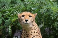 IMG_2357-11.jpg