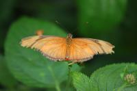 IMG_2686-11.jpg